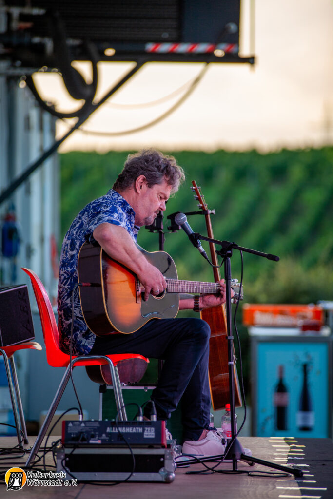 Bluesmusiker Ignatz Netzer während des Konzerts, im Hinergrund Weinberge