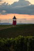MG_7737