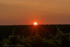 Kulturkreis-Woerrstadt-Senska-2