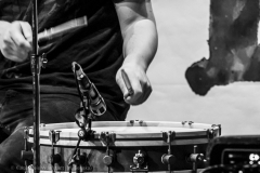 Kulturkreis-Wörrstadt-Senska-16