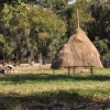 Spreewald_026