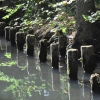 Spreewald_055